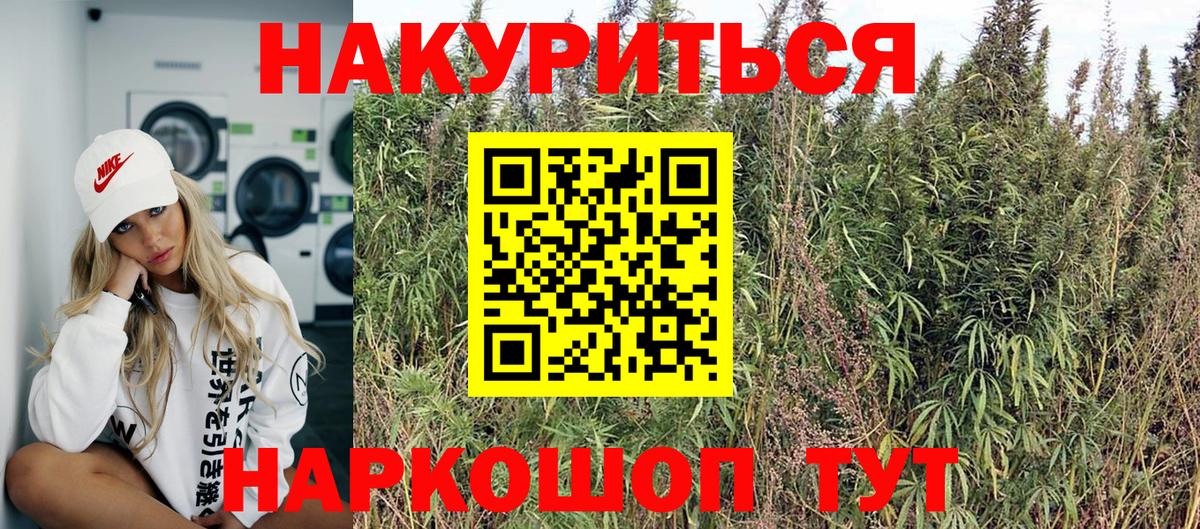 Конопля ГИДРОПОН  Бошки марихуана конопля  Вход с VPN  Бошки Шишки семена  Ейск 