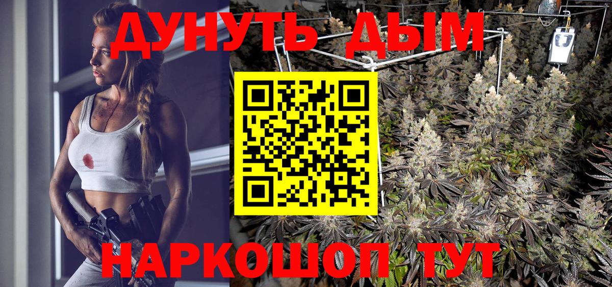 Бошки Шишки планчик Ейск